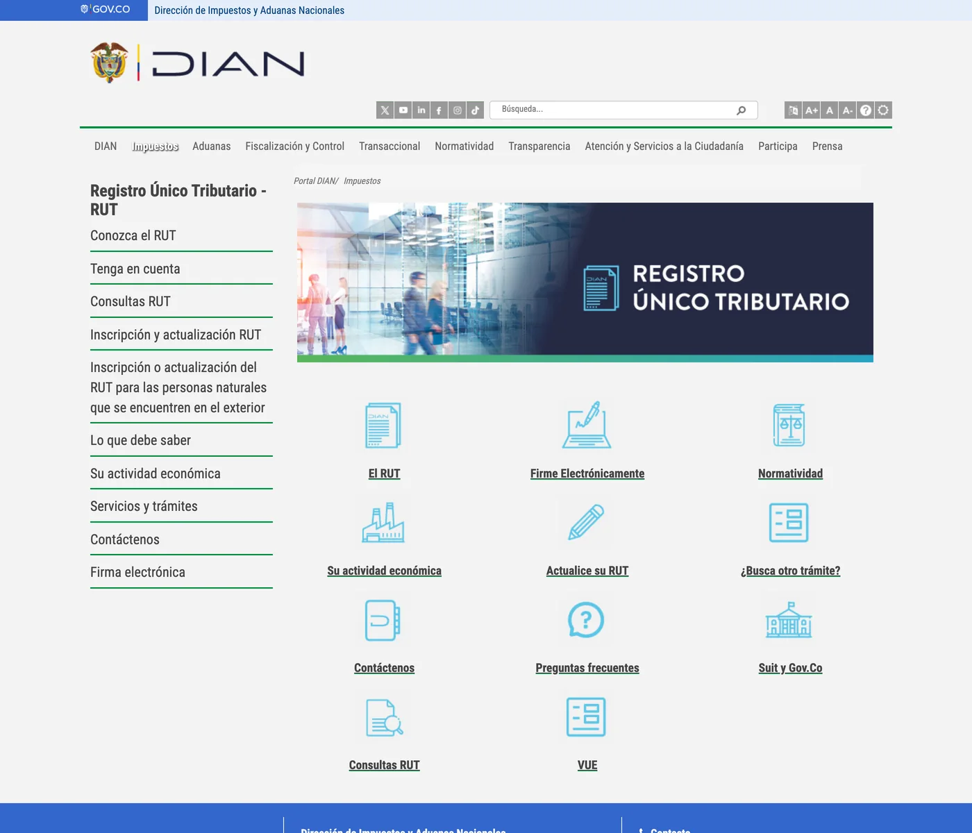RUT en pantalla de la DIAN, datos desmarcados.